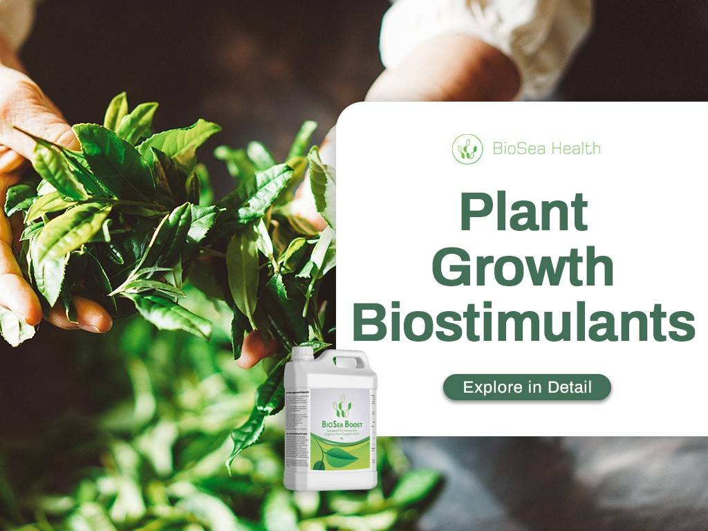 plant growth biostimulants are liquid fertilizer for increased yields